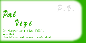 pal vizi business card